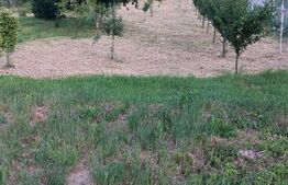 Proprietate de vanzare, 300 mp, zona Ocna Mures 