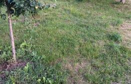 Proprietate de vanzare, 300 mp, zona Ocna Mures 