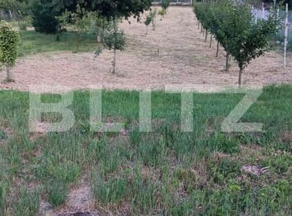 Casa de vânzare 5 camere Ocna Mures - 204321CV | BLITZ Alba Iulia | Poza9