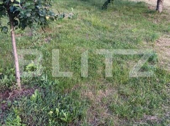 Casa de vânzare 5 camere Ocna Mures - 204321CV | BLITZ Alba Iulia | Poza8