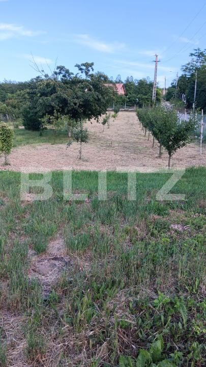 Casa de vânzare 5 camere Ocna Mures - 204321CV | BLITZ Alba Iulia | Poza9