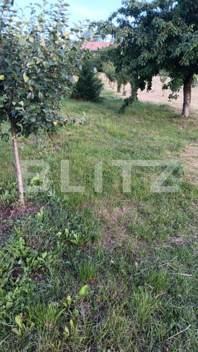 Casa de vânzare 5 camere Ocna Mures - 204321CV | BLITZ Alba Iulia | Poza8