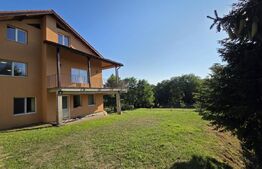 Un colț de natură în Oarda | Casă cu peste 8.000 mp teren și livadă