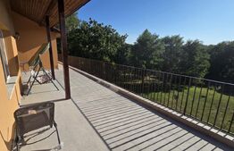 Un colț de natură în Oarda | Casă cu peste 8.000 mp teren și livadă
