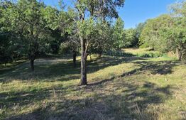 Un colț de natură în Oarda | Casă cu peste 8.000 mp teren și livadă