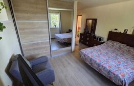 Un colț de natură în Oarda | Casă cu peste 8.000 mp teren și livadă