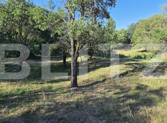 Casa de vânzare 6 camere Periferie - 204471CV | BLITZ Alba Iulia | Poza3