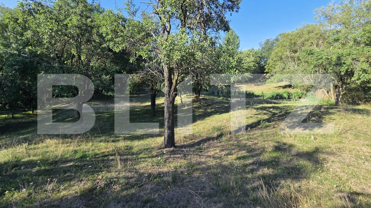 Casa de vânzare 6 camere Periferie - 204471CV | BLITZ Alba Iulia | Poza3