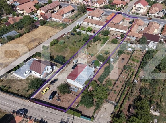 Casa de vânzare 3 camere Micești - 204472CV | BLITZ Alba Iulia | Poza3