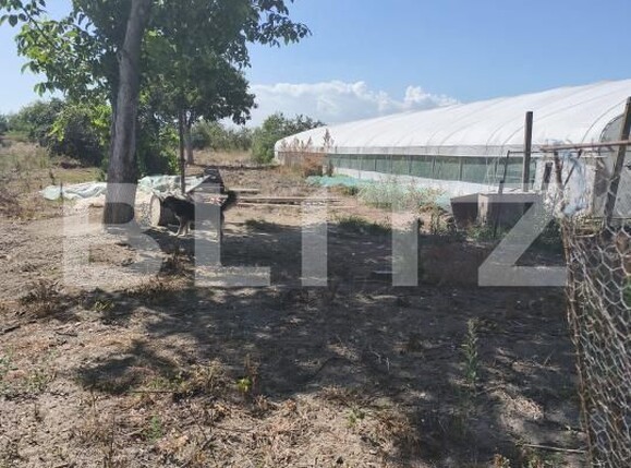 Casa de vânzare 3 camere Razboieni-Cetate - 204474CV | BLITZ Alba Iulia | Poza19