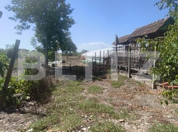 Casa de vânzare 3 camere Razboieni-Cetate - 204474CV | BLITZ Alba Iulia | Poza17