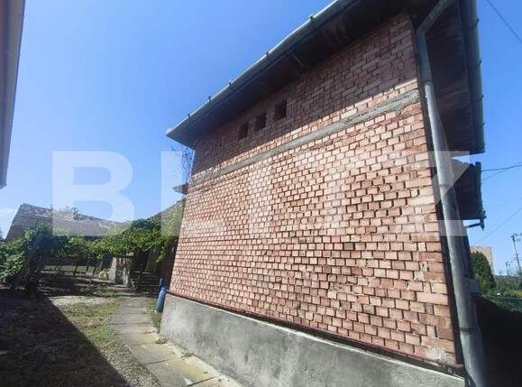 Casa de vânzare 3 camere Razboieni-Cetate - 204474CV | BLITZ Alba Iulia | Poza4