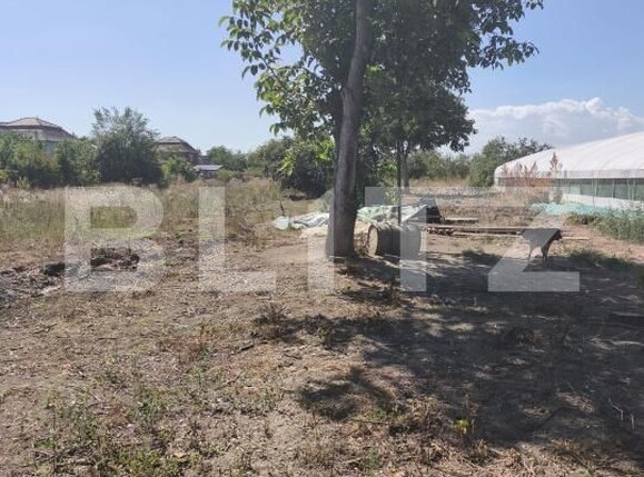 Casa de vânzare 3 camere Razboieni-Cetate - 204474CV | BLITZ Alba Iulia | Poza18