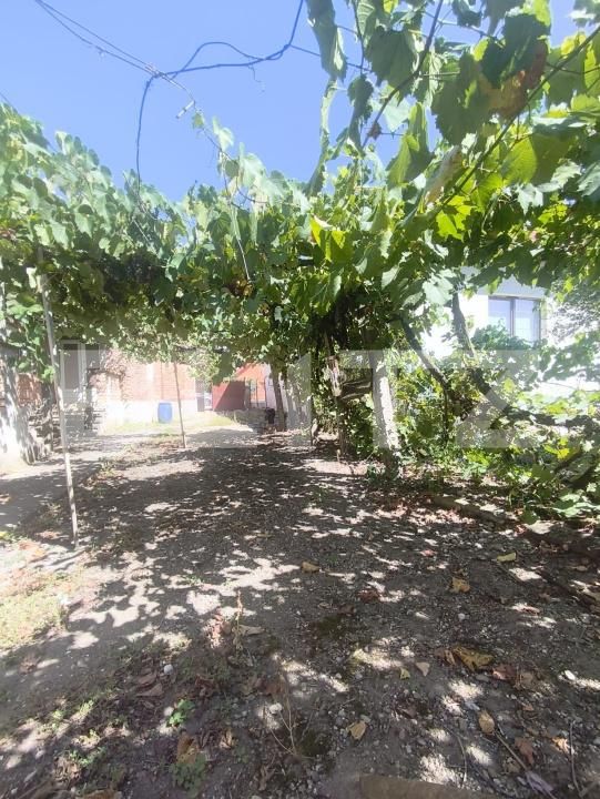 Casa de vânzare 3 camere Razboieni-Cetate - 204474CV | BLITZ Alba Iulia | Poza16
