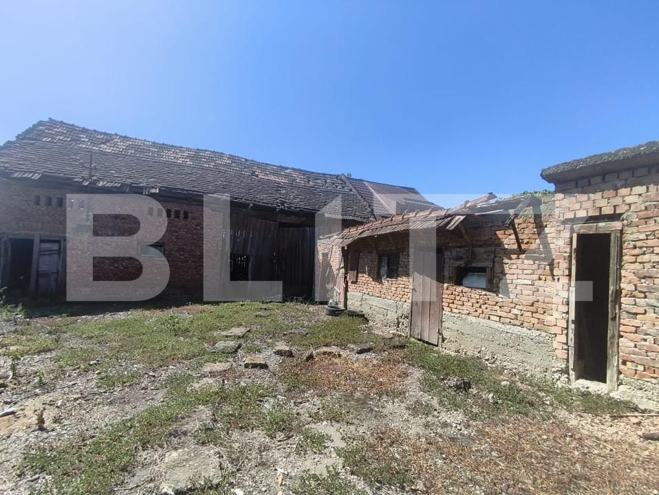 Casa de vânzare 3 camere Razboieni-Cetate - 204474CV | BLITZ Alba Iulia | Poza7