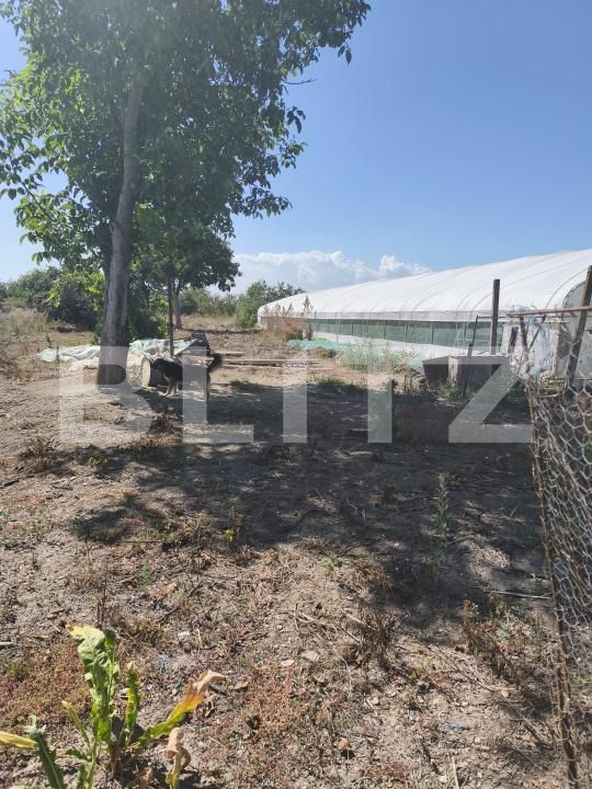 Casa de vânzare 3 camere Razboieni-Cetate - 204474CV | BLITZ Alba Iulia | Poza19