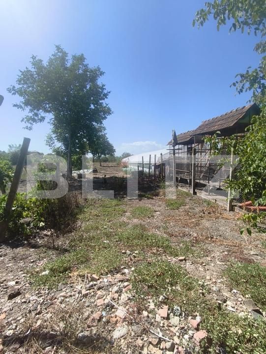 Casa de vânzare 3 camere Razboieni-Cetate - 204474CV | BLITZ Alba Iulia | Poza17