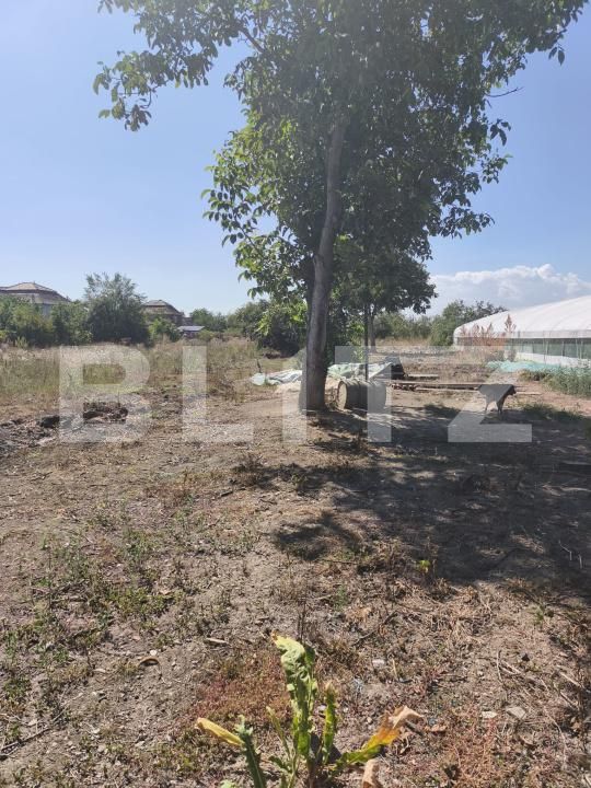 Casa de vânzare 3 camere Razboieni-Cetate - 204474CV | BLITZ Alba Iulia | Poza18