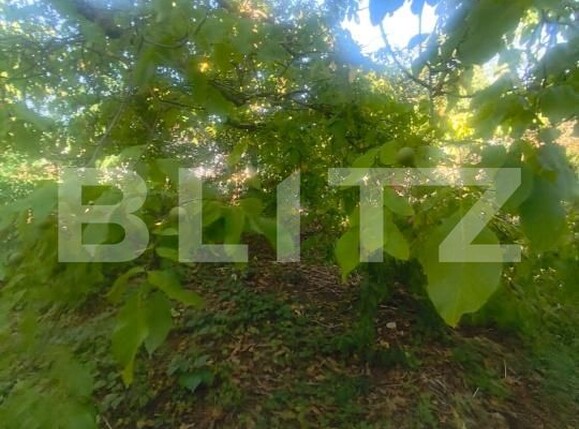 Casa de vânzare 2 camere Unirea - 204475CV | BLITZ Alba Iulia | Poza13