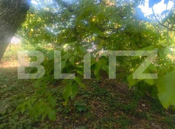 Casa de vânzare 2 camere Unirea - 204475CV | BLITZ Alba Iulia | Poza12