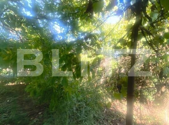 Casa de vânzare 2 camere Unirea - 204475CV | BLITZ Alba Iulia | Poza11