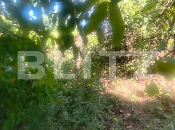 Casa de vânzare 2 camere Unirea - 204475CV | BLITZ Alba Iulia | Poza14