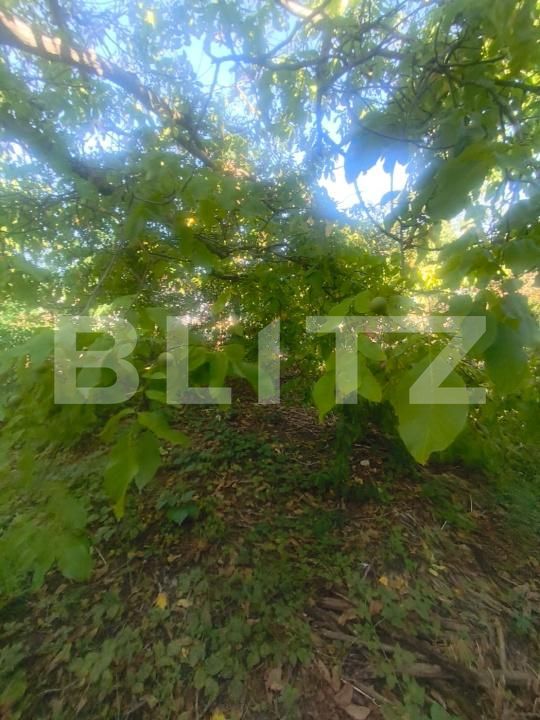 Casa de vânzare 2 camere Unirea - 204475CV | BLITZ Alba Iulia | Poza13