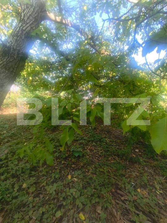 Casa de vânzare 2 camere Unirea - 204475CV | BLITZ Alba Iulia | Poza12