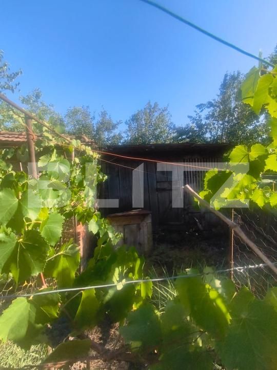 Casa de vânzare 2 camere Unirea - 204475CV | BLITZ Alba Iulia | Poza15