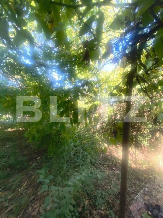 Casa de vânzare 2 camere Unirea - 204475CV | BLITZ Alba Iulia | Poza11