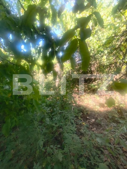 Casa de vânzare 2 camere Unirea - 204475CV | BLITZ Alba Iulia | Poza14