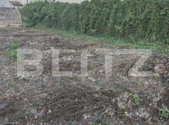 Casa de vânzare 2 camere Ocna Mures - 204477CV | BLITZ Alba Iulia | Poza9