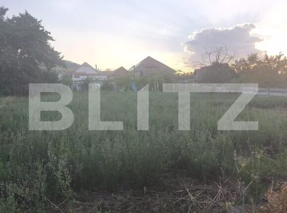 Casa de vânzare 2 camere Ocna Mures - 204477CV | BLITZ Alba Iulia | Poza10
