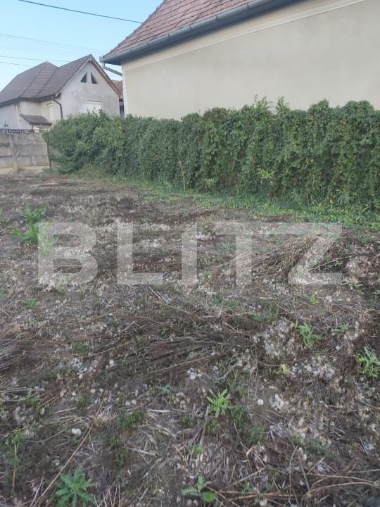 Casa de vânzare 2 camere Ocna Mures - 204477CV | BLITZ Alba Iulia | Poza9