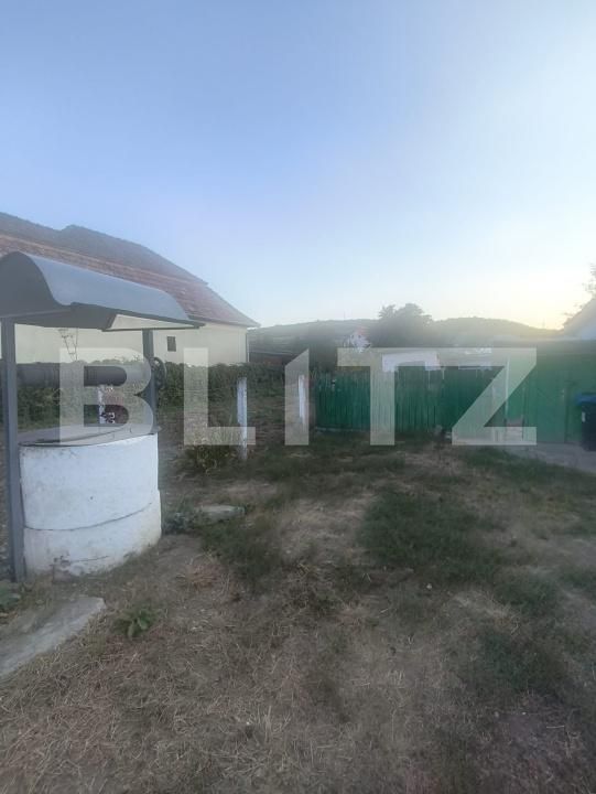 Casa de vânzare 2 camere Ocna Mures - 204477CV | BLITZ Alba Iulia | Poza8