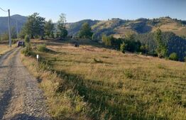 Teren intravilan, 3000 mp, Sat Garda de Sus