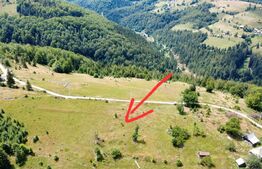 Teren intravilan, 3000 mp, Sat Garda de Sus