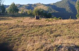 Teren intravilan, 3000 mp, Sat Garda de Sus