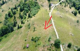 Teren intravilan, 3000 mp, Sat Garda de Sus