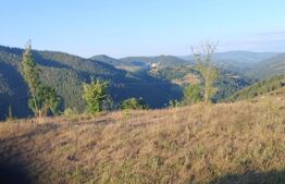 Teren intravilan, 3000 mp, Sat Garda de Sus
