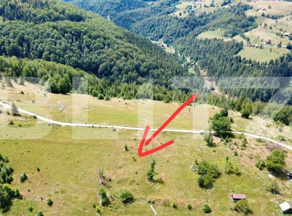 Teren de vânzare Garda de Sus - 204898TV | BLITZ Alba Iulia | Poza7