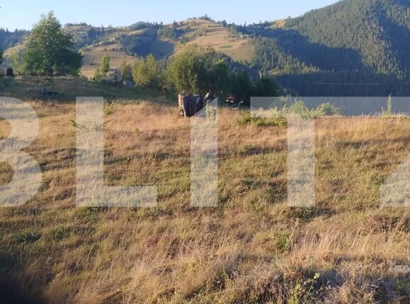 Teren de vânzare Garda de Sus - 204898TV | BLITZ Alba Iulia | Poza5