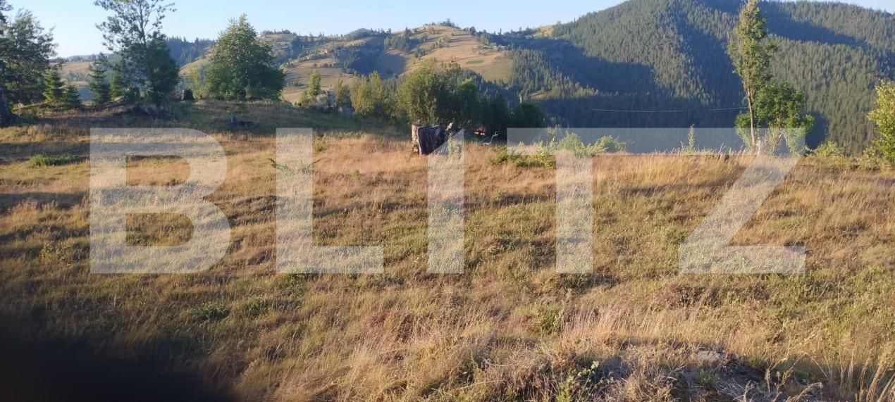 Teren de vânzare Garda de Sus - 204898TV | BLITZ Alba Iulia | Poza5