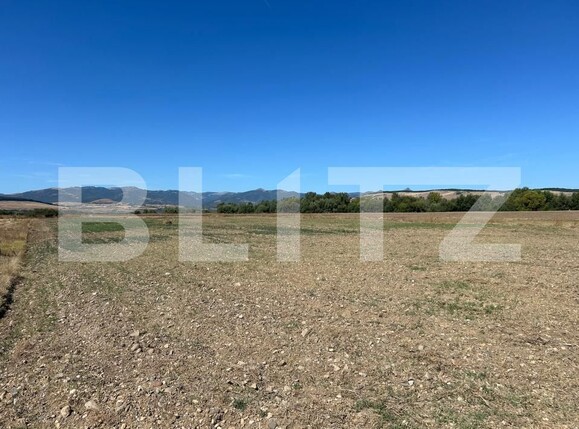 Teren de vânzare Bărăbanț - 204933TV | BLITZ Alba Iulia | Poza1