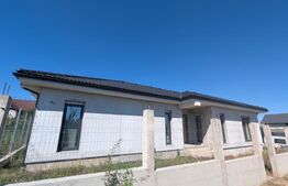 Casa individuala de vanzare in Micesti, partea cu padurea