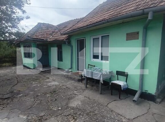 Casa de vânzare 1 camera Ocna Mures - 205040CV | BLITZ Alba Iulia | Poza1