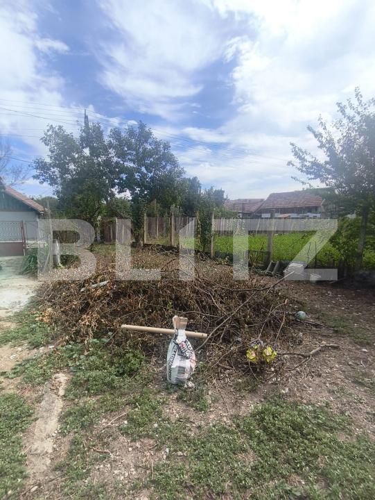 Casa de vânzare 1 camera Ocna Mures - 205040CV | BLITZ Alba Iulia | Poza8