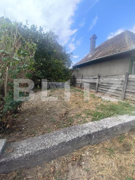 Casa de vânzare 1 camera Ocna Mures - 205040CV | BLITZ Alba Iulia | Poza12