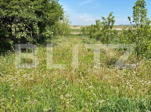 Casa de vânzare 3 camere Ocna Mures - 205050CV | BLITZ Alba Iulia | Poza3