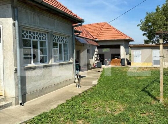 Casa de vânzare 3 camere Ocna Mures - 205050CV | BLITZ Alba Iulia | Poza15